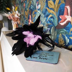 Plumes de Boudoir 2