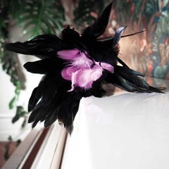 Plumes de Boudoir 3