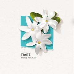 Parfum Solinotes - Tiaré - 50 ml 3