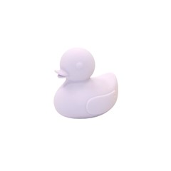 Mon Amour Canard 1