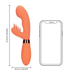 Stria Rabbit 3