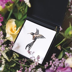 Oiseau Fidji 3