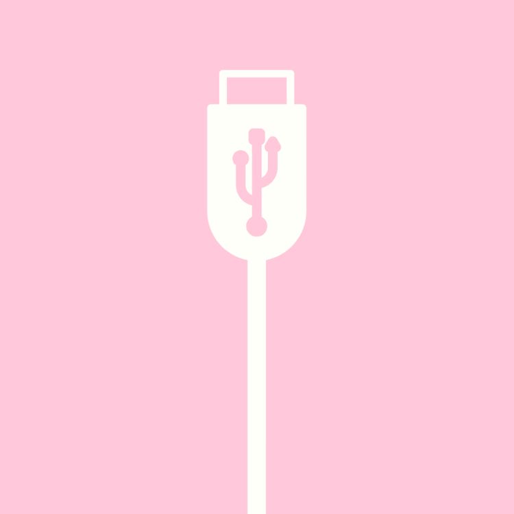Câble d'alimentation - Royal Rabbit